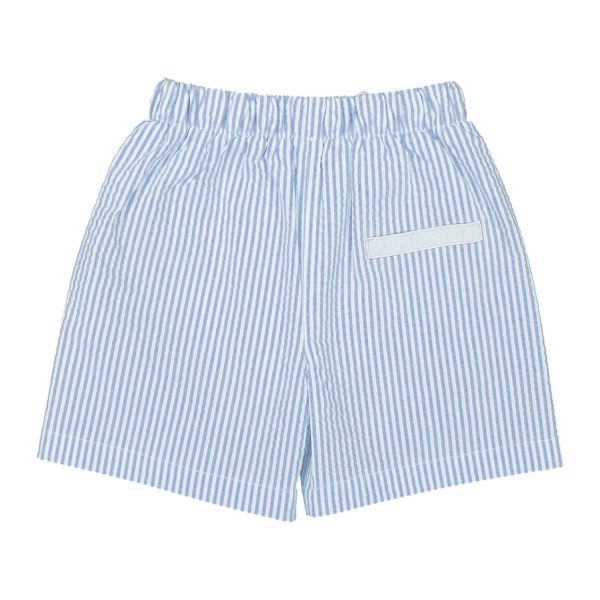 Boys Blue Stripes Swim Shorts For Discount