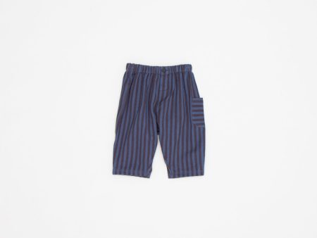 Baby Boys & Girls Blue Stripes Cotton Trousers Online now