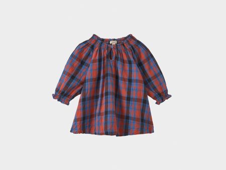 Baby Girls Blue Check Cotton Dress For Discount