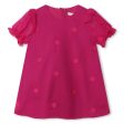 Baby Girls Fuchsia Embroidered Dress Fashion