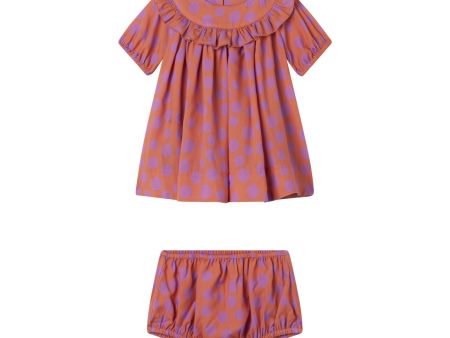 Baby Girls Pink Dots Dress Set Online