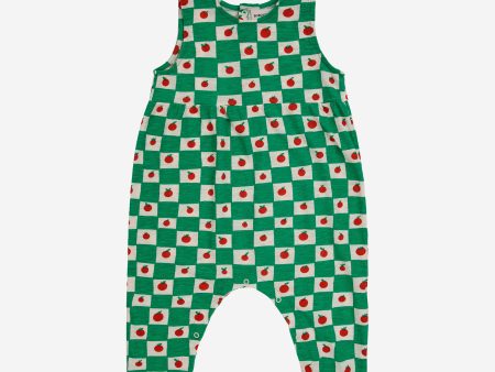 Baby Boys & Girls Green Check Cotton Babysuit For Sale