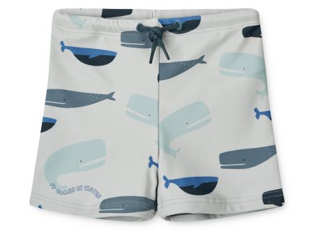 Boys Light Blue Printed Swim Shorts Fashion