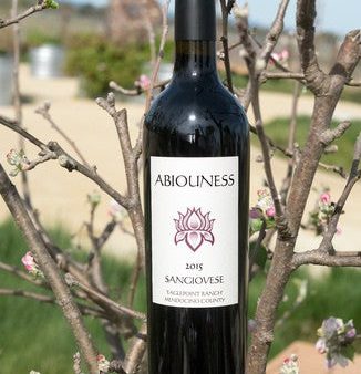 Abiouness Eaglepoint Ranch Sangiovese 2019 (750ml) Online Hot Sale